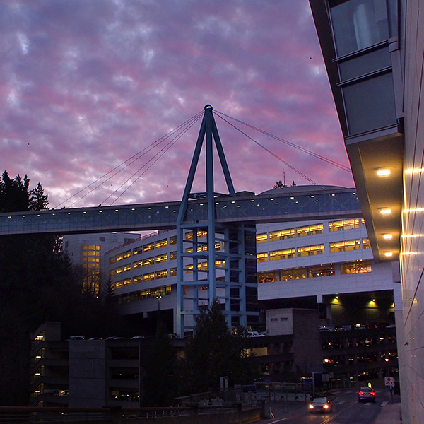 Marquam Hill skybridge at sunset